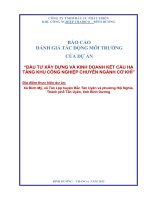 Báo cáo Đánh giá tác Động môi trường của dự Án Đầu tư xây dựng và kinh doanh kết cấu hạ tầng kcn chuyên ngành cơ khí