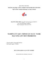 IUH | Đề cương Khóa luận tốt nghiệp | Nghiên cứu quy trình sản xuất nghệ mật ong lên men PROBIOTIC