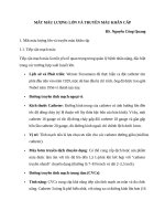 Mất máu lượng lớn và truyền máu khẩn cấp