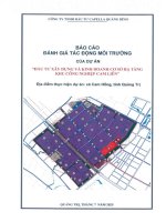 Báo cáo Đánh giá tác Động môi trường dự Án Đầu tư xây dựng và kinh doanh cơ sở hạ tầng kcn cam liên