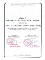 Báo cáo Đánh giá tác Động môi trường dự Án nhà máy sản xuất giấy