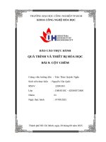 IUH | BÁO CÁO THỰC HÀNH QUÁ TRÌNH VÀ THIẾT BỊ HÓA HỌC | BÀI 9: CỘT CHÊM