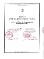Báo cáo Đánh giá tác Động môi trường của dự Án Đầu tư xây dựng công trình mỏ than bắc