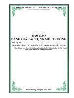 Báo cáo Đánh giá tác Động môi trường dự Án nhà máy công ty tnhh sản xuất nhôm vạn xuân thành