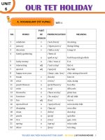 FILE BTBT GRADE 6 UNIT 6 - OUR TET HOLIDAY