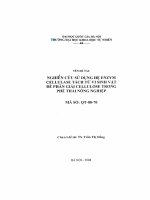 Nghiên cứu sử dụng hệ enzym cellulase tách từ vi sinh vật để phân giải cellulose trong phế thải nông nghiệp Đề tài NCKH. QT.08.70
