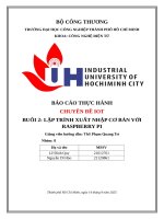 IUH | BÁO CÁO THỰC HÀNH CHUYÊN ĐỀ IOT | LẬP TRÌNH XUẤT NHẬP CƠ BẢN VỚI RASPBERRY PI