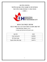 IUH | Báo cáo thực hành Thực hành phụ gia | Phụ gia cải tạo chất lượng bột mì