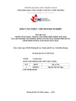 IUH | BÁO CÁO THỰC TẬP DOANH NGHIỆP | PHÂN TÍCH THỰC TRẠNG CẬP NHẬT BIẾN ĐỘNG ĐẤT ĐAI TẠI CHI NHÁNH VĂN PHÒNG ĐĂNG KÝ ĐẤT ĐAI THÀNH PHỐ DĨ AN, TỈNH BÌNH DƯƠNG GIAI ĐOẠN 2023–2024
