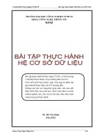 IUH | Bài tập thực hành | Hệ cơ sở dữ liệu