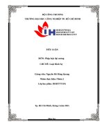 IUH | TIỂU LUẬN Pháp luật đại cương | Luật Hình Sự