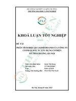 Phân tích hiệu quả kinh doanh của công ty cổ phần Đầu tư xây dựng cơ Điện hà thái dương, hà nội