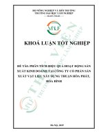 Phân tích hiệu quả hoạt Động sản xuất kinh doanh tại công ty cổ phần sản xuất vật liệu xây dựng thuận hòa phát, hòa bình