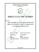 Phân tích hiệu quả hoạt Động kinh doanh dịch vụ lữ hành của công ty tnhh du lịch nụ cười nhật minh, hà nội