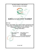 Phân tích hiệu quả hoạt Động kinh doanh tại công ty cổ phần vật tư thương mại vĩnh phúc, huyện vĩnh tường tỉnh vĩnh phúc