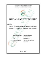 Phân tích hoạt Động marketing tại công ty tnhh Đức dương, hải dương