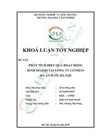 Phân tích hiệu quả hoạt Động kinh doanh tại công ty cổ phần hà an Ô tô, hà nội
