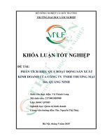Phân tích hiệu quả hoạt Động sản xuất kinh doanh của công ty tnhh thương mại 166, quảng ninh