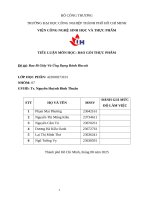 IUH | TIỂU LUẬN MÔN HỌC: BAO GÓI THỰC PHẨM | Bao Bì Giấy Và Ứng Dụng Bánh Biscuit