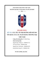 HUB | BÀI HỘI THẢO | CÁC YẾU TỐ ẢNH HƯỞNG ĐẾN RỦI RO TÍN DỤNG CỦA CÁC NGÂN HÀNG THƯƠNG MẠI VIỆT NAM