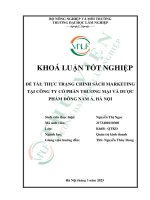 Thực trạng chính sách marketing tại công ty cổ phần thương mại và dược phẩm Đông nam Á, hà nội