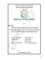 Phân tích tài chính của công ty tnhh xuất nhập khẩu và Đầu tư sản xuất hà nội, huyện Đan phượng, thành phố hà nội