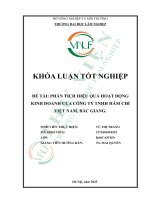 Phân tích hiệu quả hoạt Động kinh doanh của công ty tnhh hâm chỉ việt nam, bắc giang