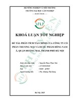 Phân tích tài chính của công ty cổ phần thương mại và dược phẩm Đông nam Á, quận hoàng mai, thành phố hà nội