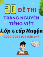Bộ 20 Đề thi trạng nguyên cấp huyện 2024 - 2025 có Đáp Án