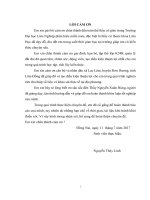 Đánh giá kết quả xây dựng nông thôn mới tại xã lạc lâm, huyện Đơn dương tỉnh lâm Đồng