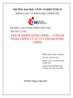 IUH | Tiểu luận Luật hành chính Việt Nam | Trách nhiệm hành chính - Vi phạm hành chính và xử lý vi phạm hành chính