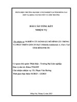 Nghiên cứu Đánh giá mô hình gây trồng và phát triển giổi Ăn hạt (michelia tonkhinensis a  chev) tại tỉnh bình phước