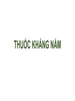 IUH | Bài giảng | Thuốc kháng nấm 2025