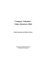 Company valuation book