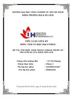 IUH | TIỂU LUẬN GIỮA KỲ TÂM LÝ HỌC ĐẠI CƯƠNG | TÌM HIỂU TÌNH TRẠNG STRESS TRƯỚC KỲ THI CUỐI KỲ CỦA SINH VIÊN IUH