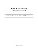 Bank Stress Testing.pdf