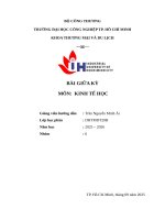 IUH | BÀI GIỮA KỲ KINH TẾ HỌC