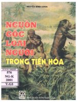 Nguồn gốc của loài người trong tiến hóa