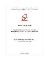 Nghiên cứu mô hình học sâu cho phân tích cảm xúc dựa trên hình Ảnh