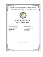 Báo cáo rèn nghề phát triển web