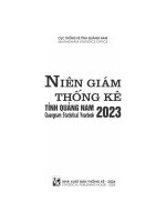 Niên giám thống kê tỉnh Quảng Nam 2023