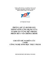 PHÂN LẬP VÀ ĐÁNH GIÁ TIỀM NĂNG ỨNG DỤNG CỦA VI KHUẨN VÙNG RỄ TRONG PHÂN HỦY VỎ CHÔM CHÔM