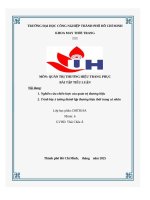 IUH | Tiểu luận QUẢN TRỊ THƯƠNG HIỆU TRANG PHỤC | Nghiên cứu chiến lược của quản trị thương hiệu & Trình bày ý tưởng thành lập thương hiệu thời trang cá nhân