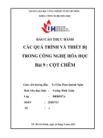IUH | BÁO CÁO THỰC HÀNH Thực Hành Quá trình và Thiết bị hóa học | Cột Chêm