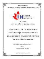 IUH | Tiểu luận Tâm lý học Đại cương | Nghiên cứu tác động Stress trong học tập