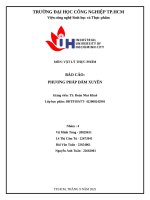 IUH | BÁO CÁO VẬT LÝ THỰC PHẨM | PHƯƠNG PHÁP ĐÂM XUYÊN