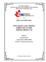 IUH | BÁO CÁO MÔN HỌC | ỨNG DỤNG CAE TRONG THIẾT KẾ VÀ MÔ PHỎNG ĐỘNG CƠ