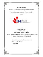 IUH | TIỂU LUẬN BAO GÓI THỰC PHẨM | TÌM HIỂU VỀ VẬT LIỆU BAO BÌ SẮT TÂY VÀ ỨNG DỤNG TRONG SẢN XUẤT CÁ HỘP