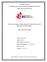 IUH | BÁO CÁO QUÁ TRÌNH & THIẾT BỊ TRONG CÔNG NGHỆ HÓA CHẤT THỰC PHẨM VÀ MÔI TRƯỜNG | MẠCH LƯU CHẤT