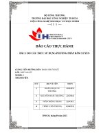 IUH | BÁO CÁO THỰC HÀNH |ĐO CẤU TRÚC SỬ DỤNG PHƯƠNG PHÁP ĐÂM XUYÊN